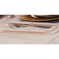 See more information about the Blizzard Cream Napkins (Pk of 4)